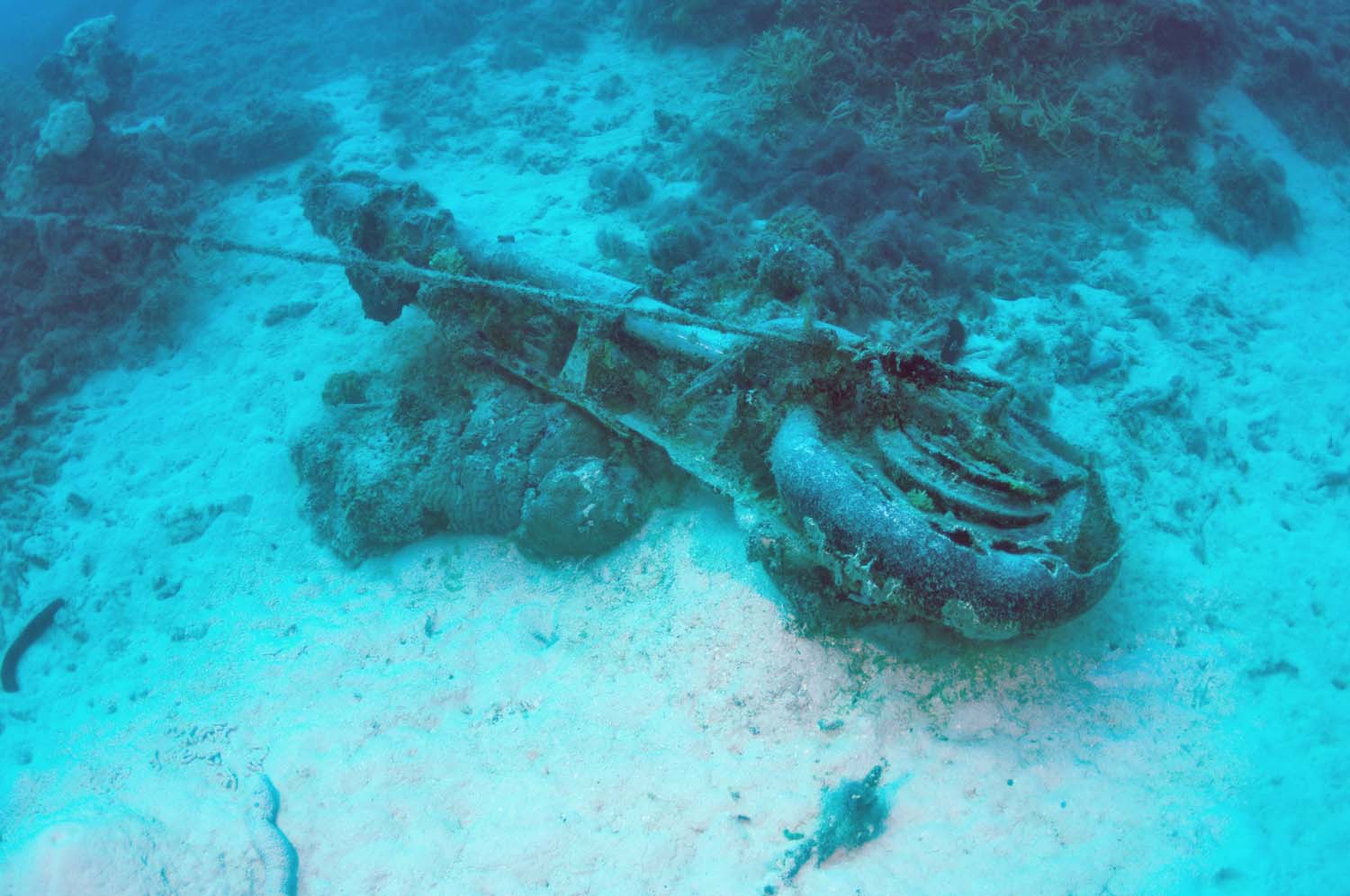One of landing gear struts lies at close proximity to the aircraft wreck