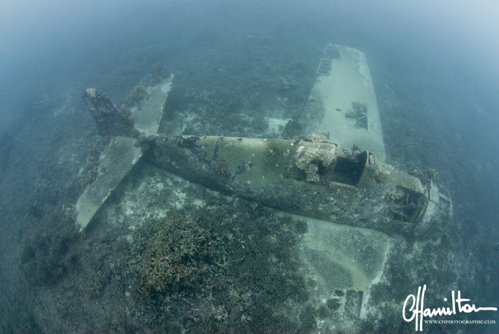Grumman F6F-3 Hellcat, "Betsy II; downed Jan 29 1943 - Gizo, Solomon Islands.