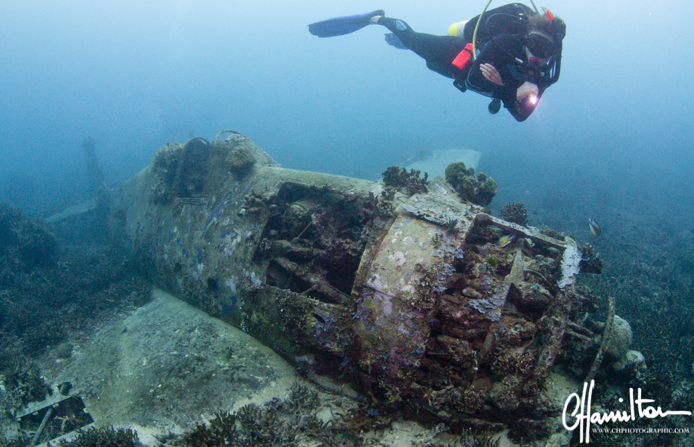 Grumman F6F-3 Hellcat, "Betsy II; downed Jan 29 1943 - Gizo, Solomon Islands.