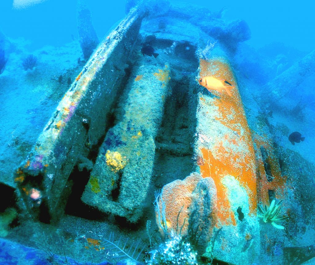 The WW2 Pacific Treasures of New Britain – An E13A1 Jake aircraft wreck ...
