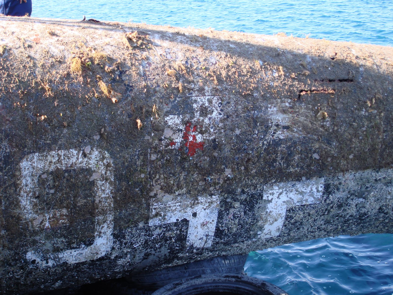 ΣΤΟΥΚΑ-ΣΤΗ-ΡΟΔΟ4