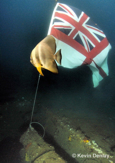The Royal Navy Ensign, donated by the crew of D89, which was left flying over the wreck of HMS Exeter in 2008