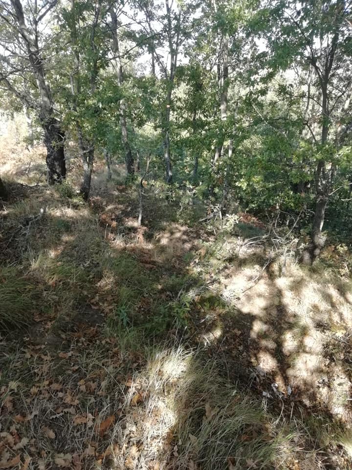 χαρακωματα ακομα εμφανη στο 731