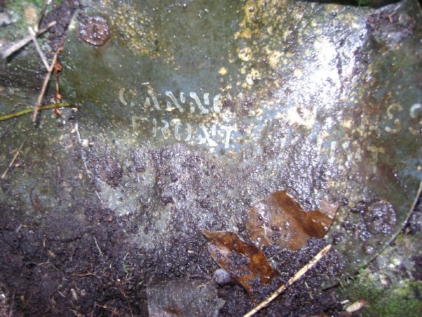 188975_1005197741935_4695_n