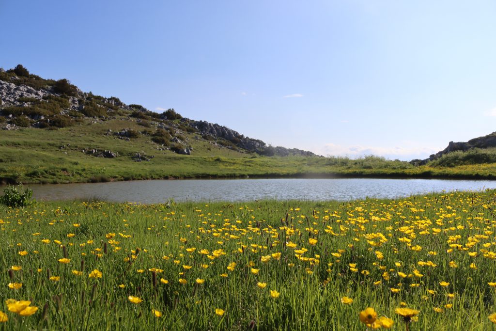 An alpine lake, Nature is reborn every Spring, unfortunately though, the young men who fought and died there, are only remembered through monuments and accounts of the Hell that once was there. 