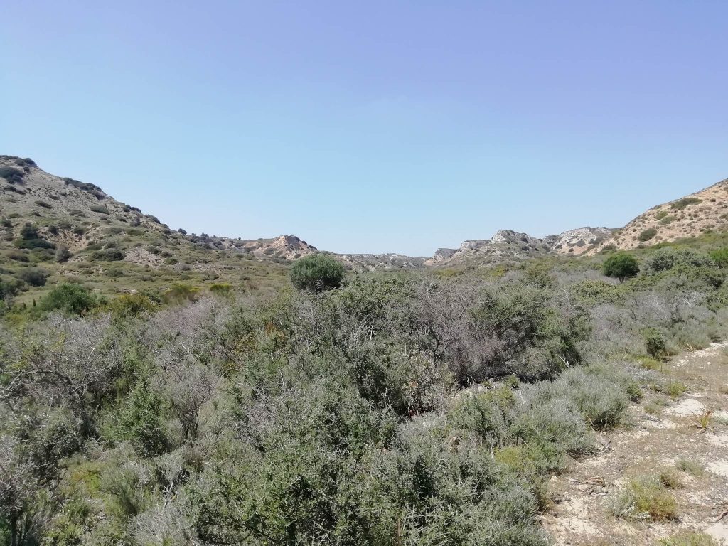 The ravine where the Ju87-D crashed is unforgiving and vegetation makes research a difficult task